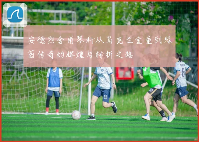 安德烈舍甫琴科从乌克兰金童到绿茵传奇的辉煌与转折之路