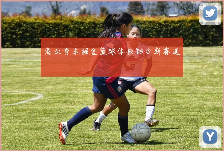 商业资本掘金篮球体教融合新赛道