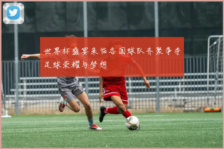 世界杯盛宴来临各国球队齐聚争夺足球荣耀与梦想