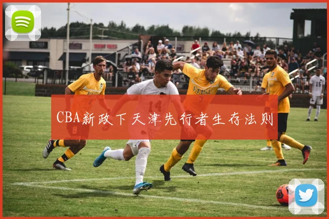 CBA新政下天津先行者生存法则