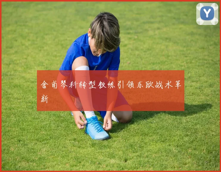 舍甫琴科转型教练引领东欧战术革新
