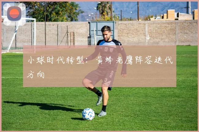 小球时代转型：黄蜂老鹰阵容迭代方向