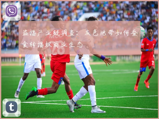 盗播产业链调查:灰色地带如何蚕食转播权商业生态