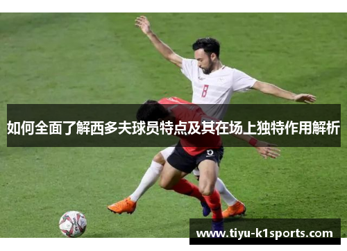 如何全面了解西多夫球员特点及其在场上独特作用解析
